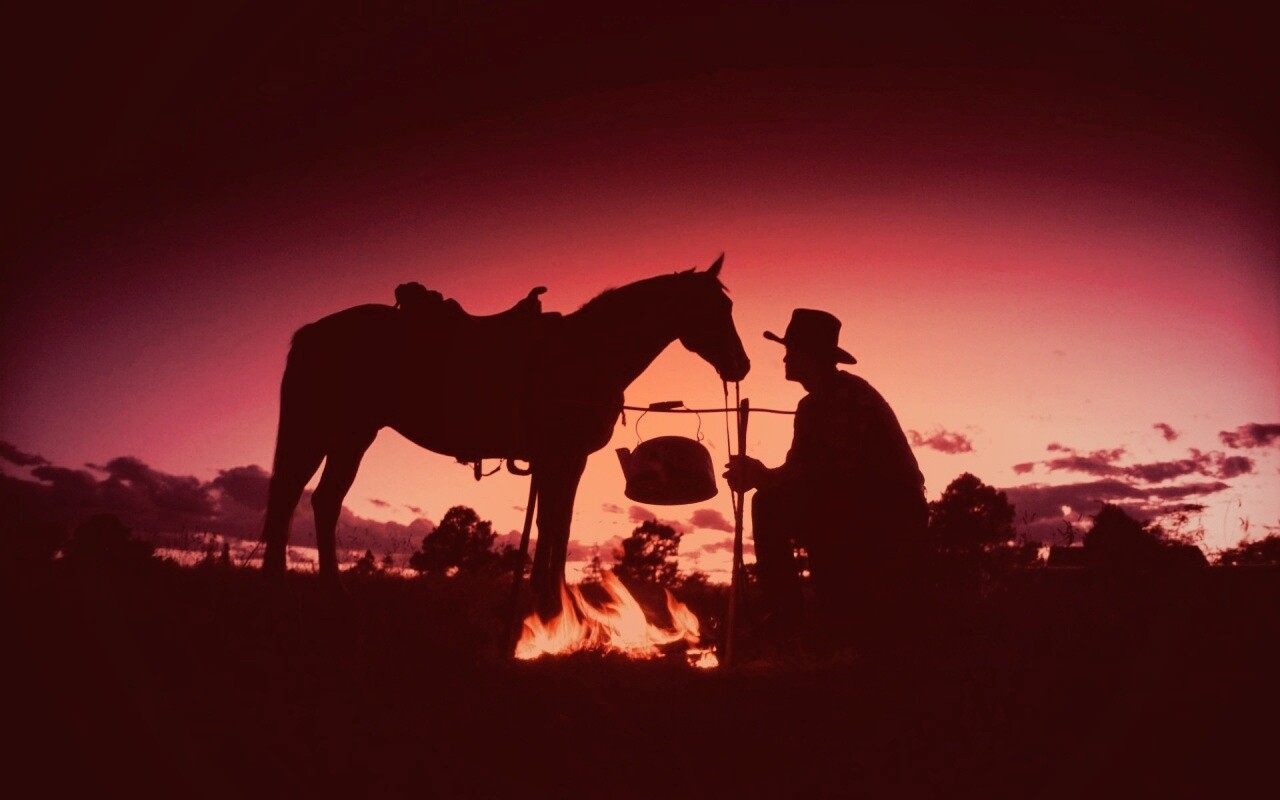 Ковбой на привале обои