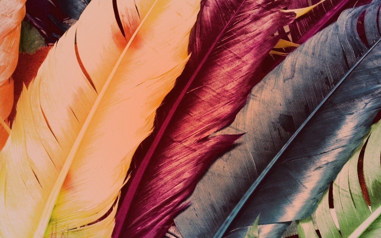 Разноцветные перья обои