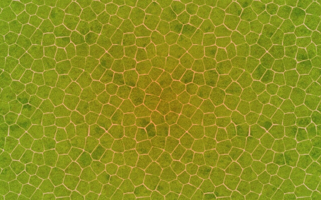 Зелёные сегменты обои