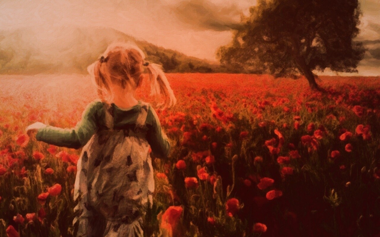 Девочка на маковом поле обои