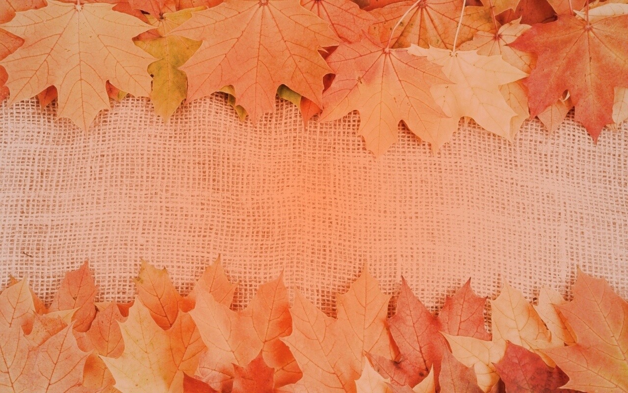 Желтые кленовые листья на холсте обои