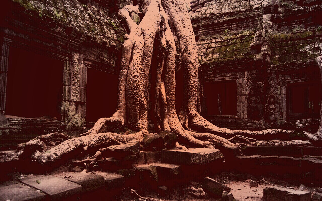 Мощные корни обои