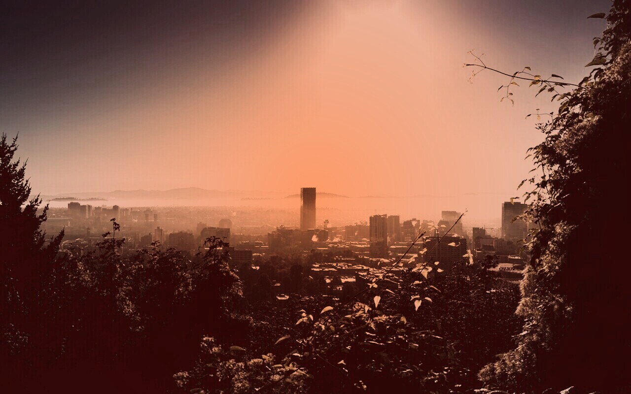 Утро в раю обои