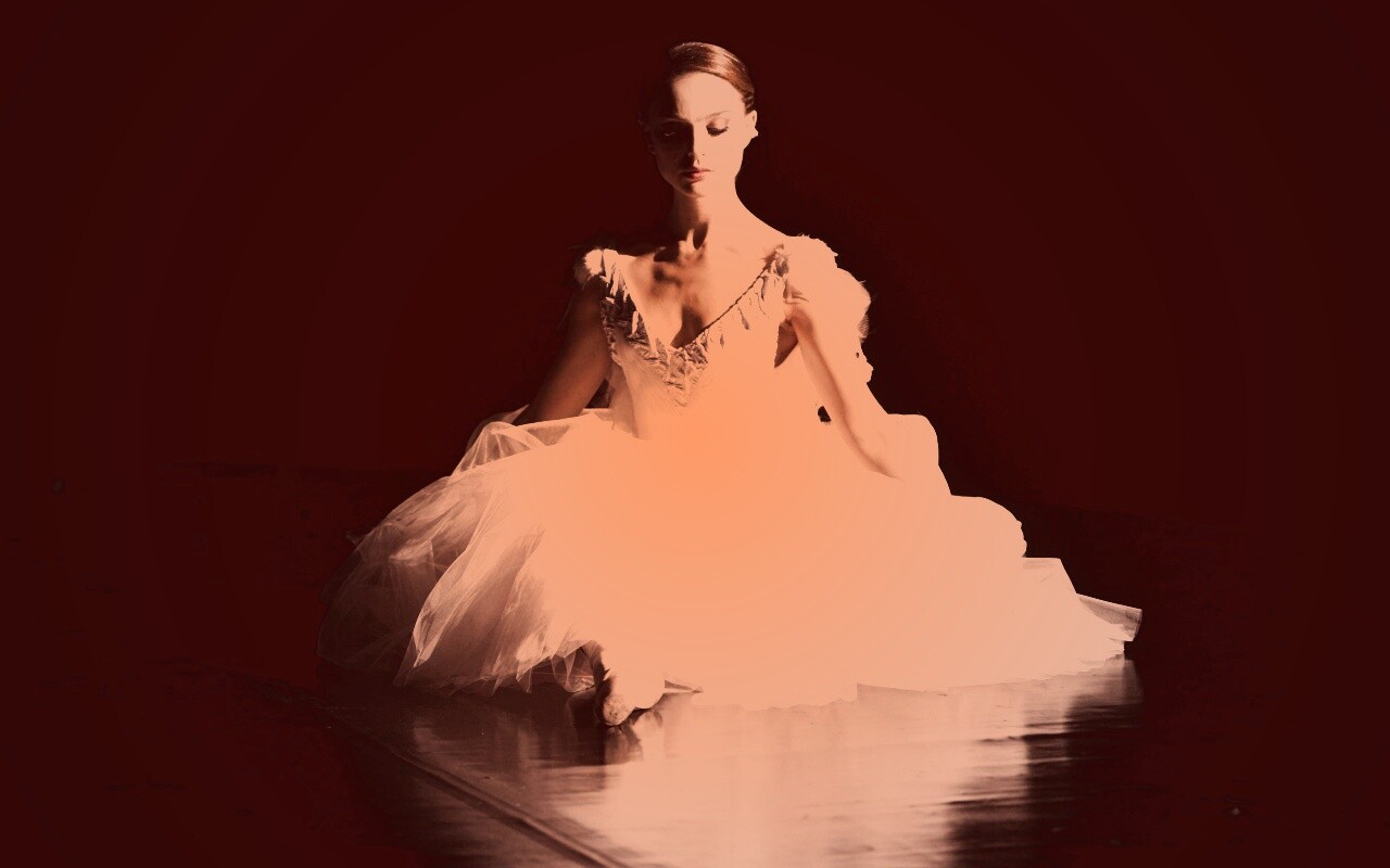 Черный лебедь обои