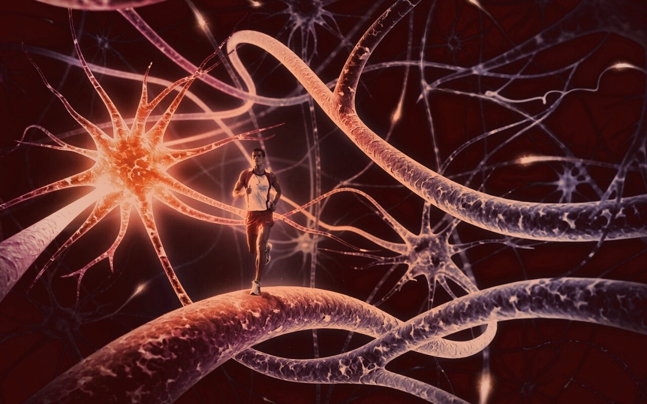 Бег мыслей обои