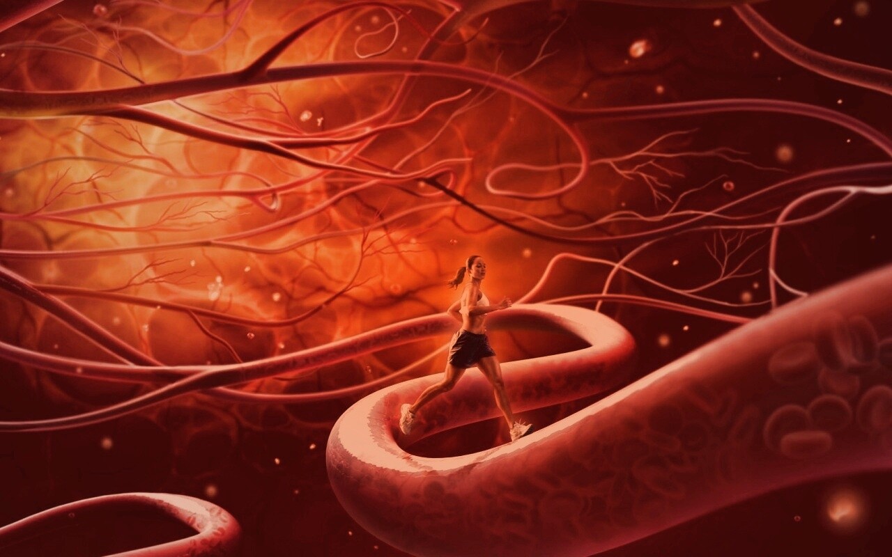 Бег крови обои