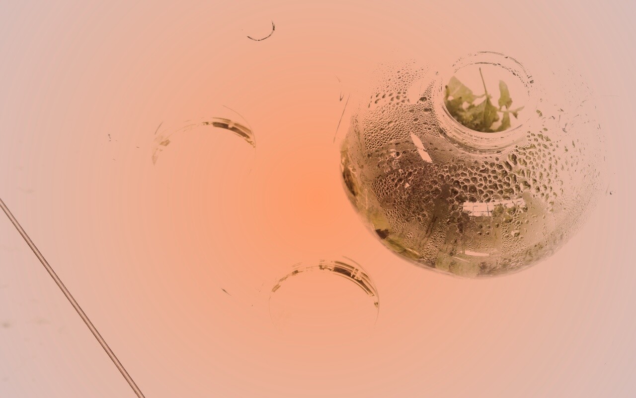 Зеленый чай обои