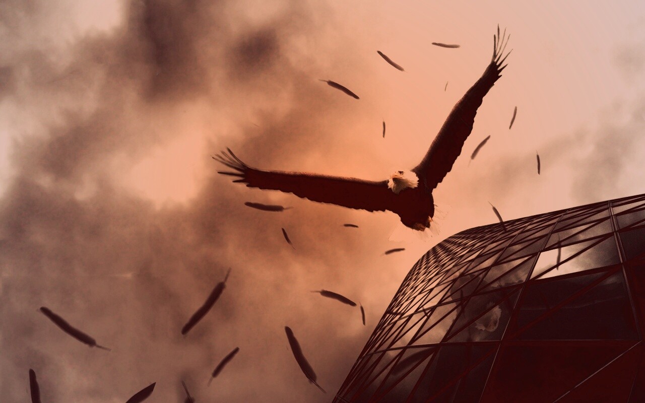 Орлиный полет обои