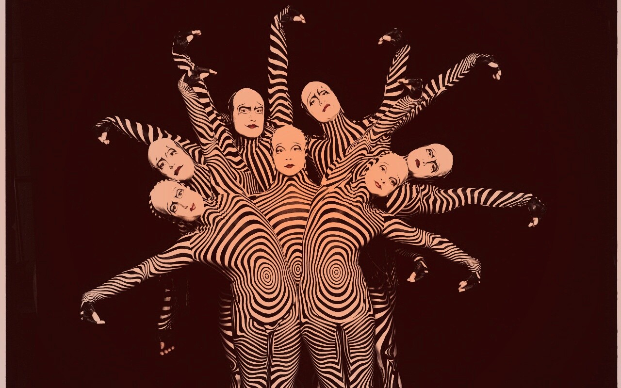 Зеброиды (актеры цирка дю солей) обои