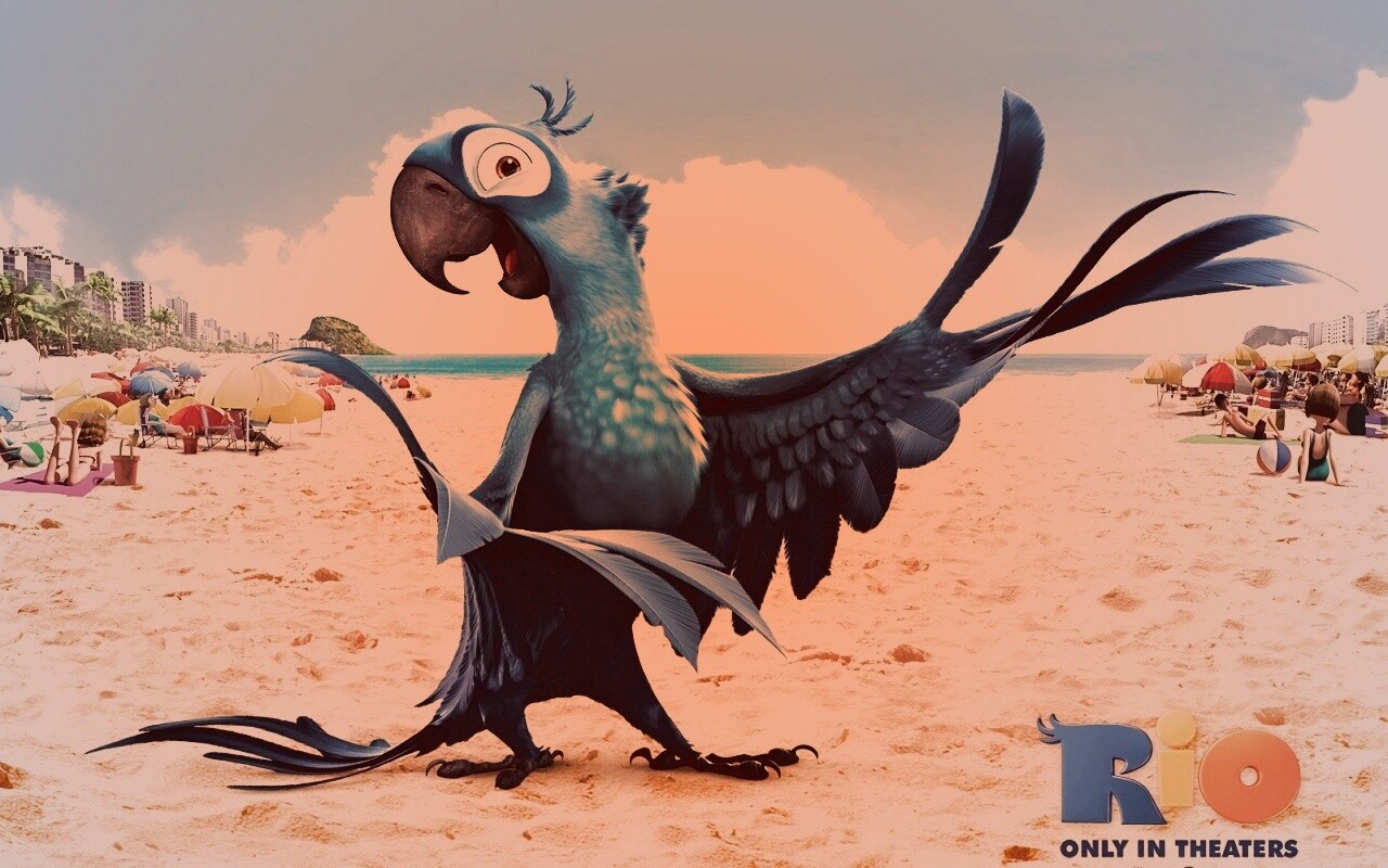 Blu из Rio обои