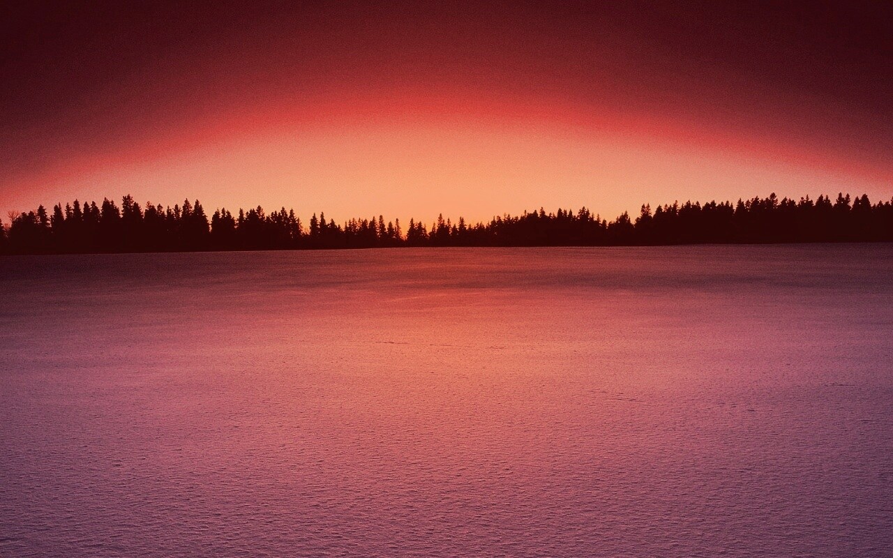 Восход над заснеженным лесом обои