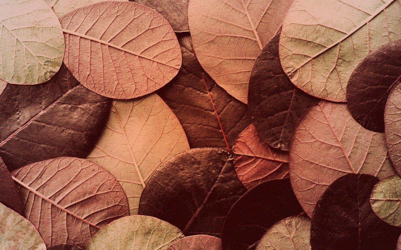 Лиственный узор обои