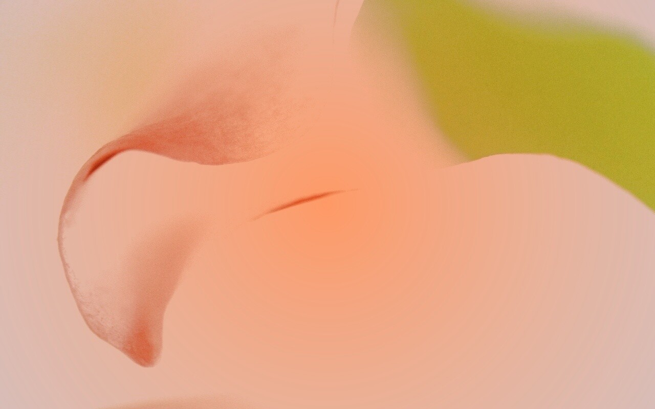 Оттенки природы обои