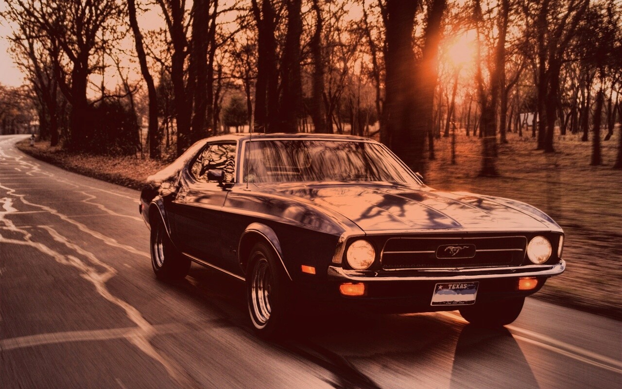 Мустанг обои