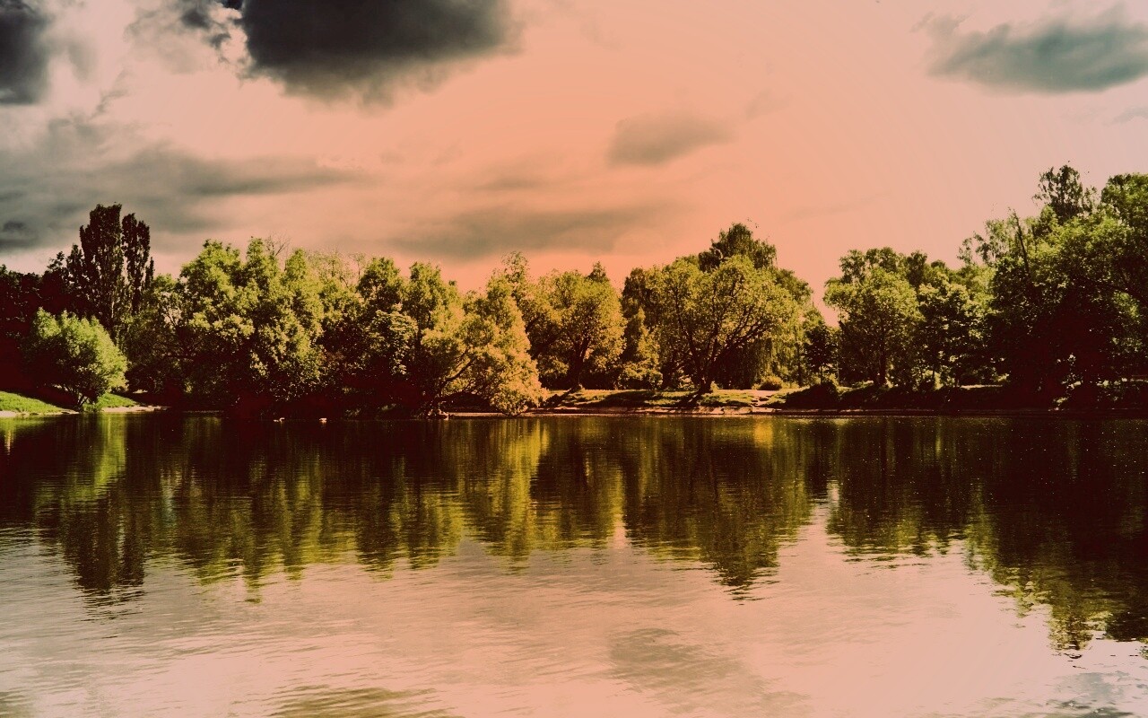 Деревья на берегу озера обои