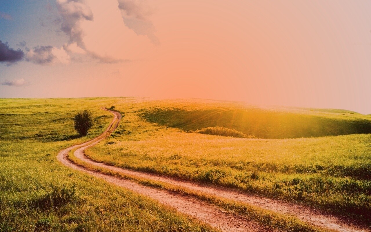 Дорога через луг обои