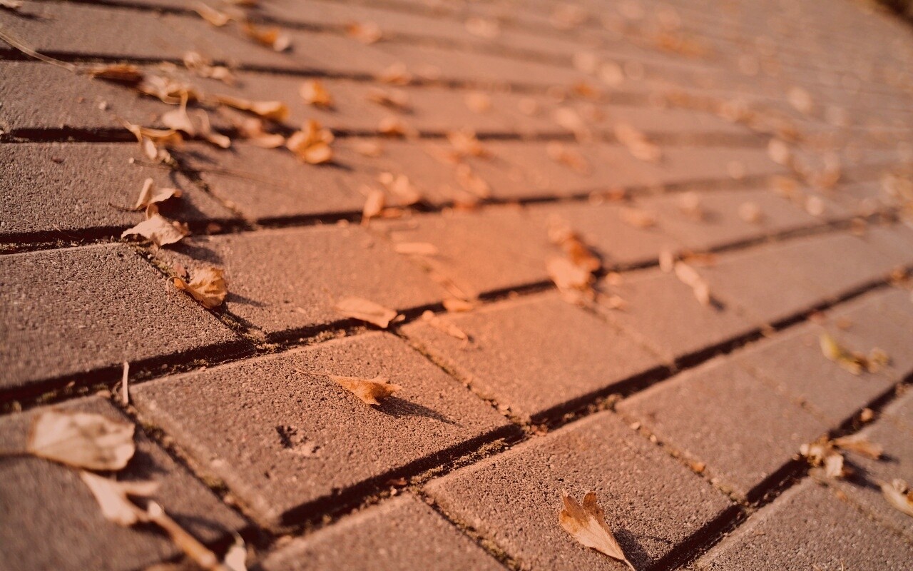 Тротуар обои