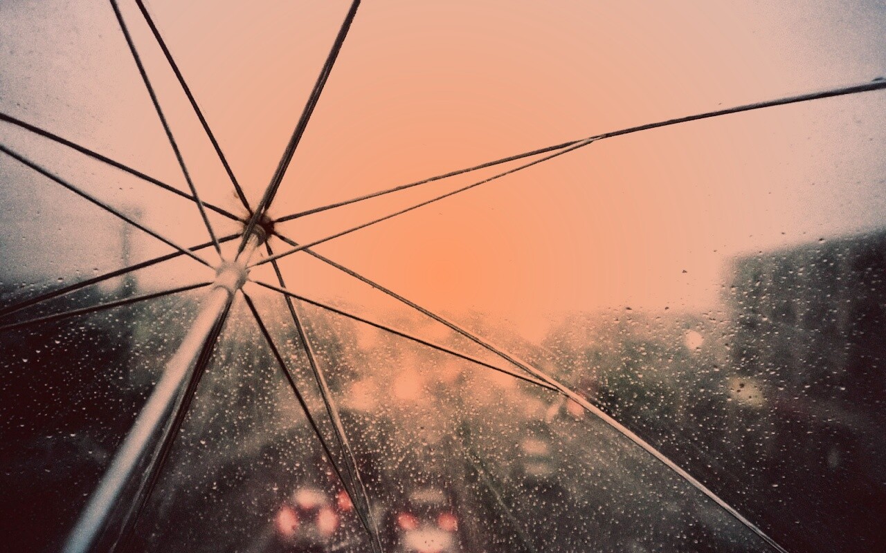Вид сквозь прозрачный зонтик обои