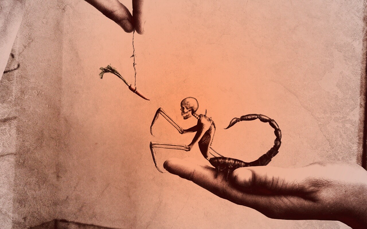 Кормёжка смерти обои