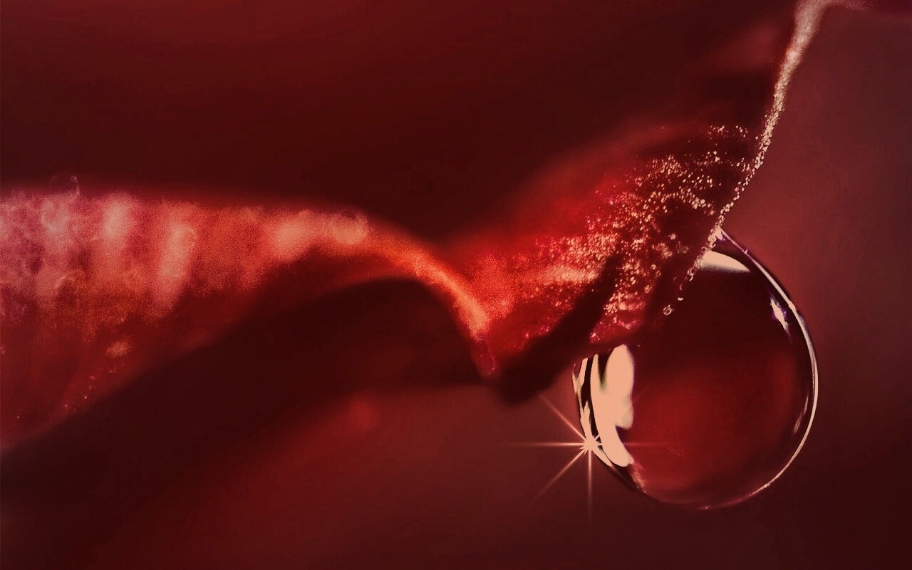 Макро капля на лепестке обои