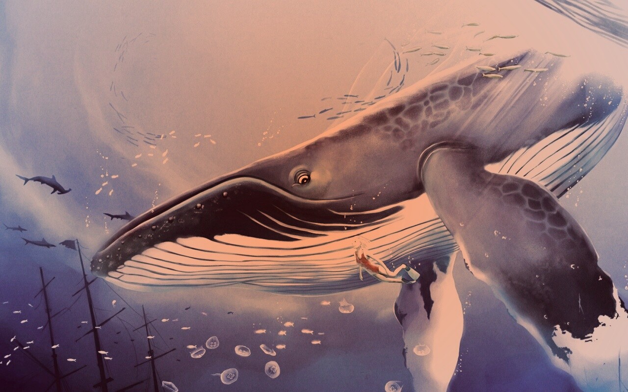 Кит и девушка обои