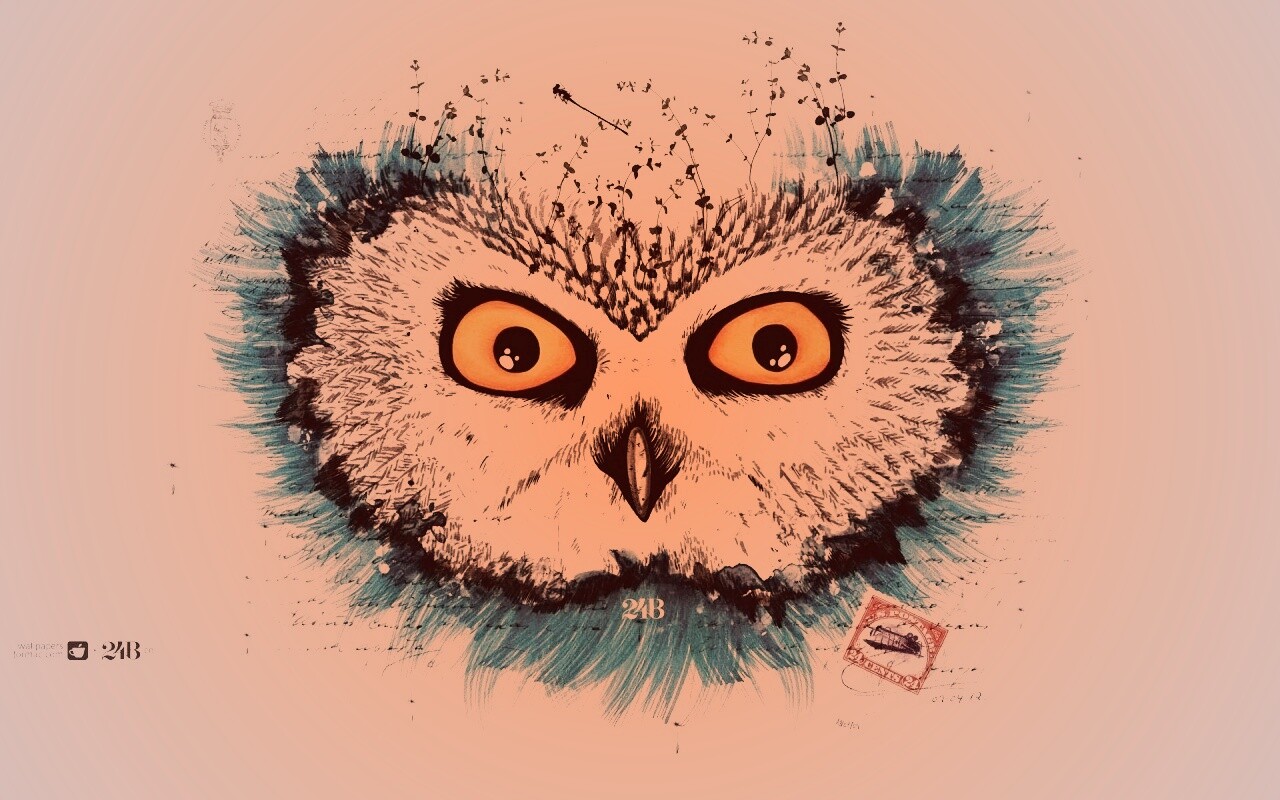 Обои сова для mac book обои