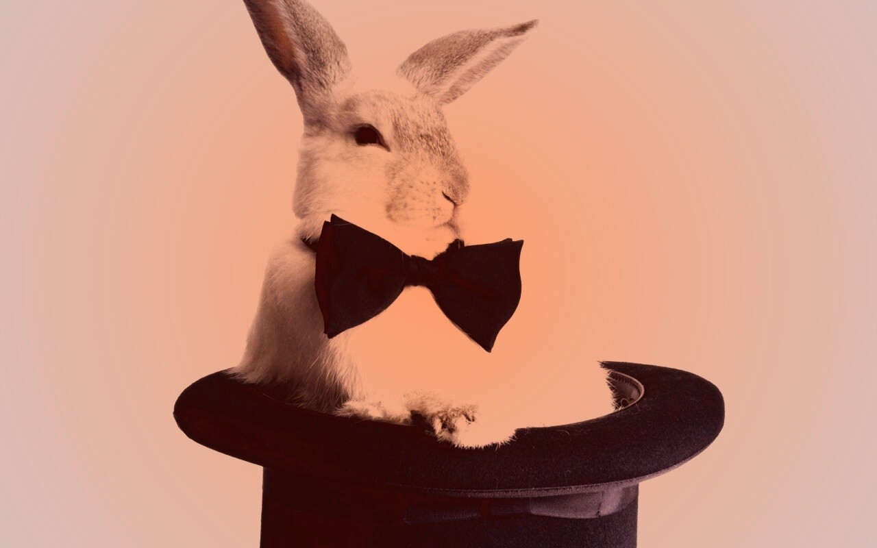 Кролик в цилиндре фокусника обои
