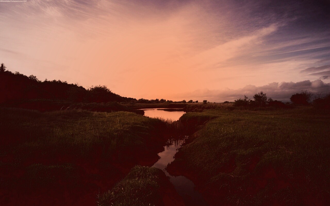 Канава и пруд обои