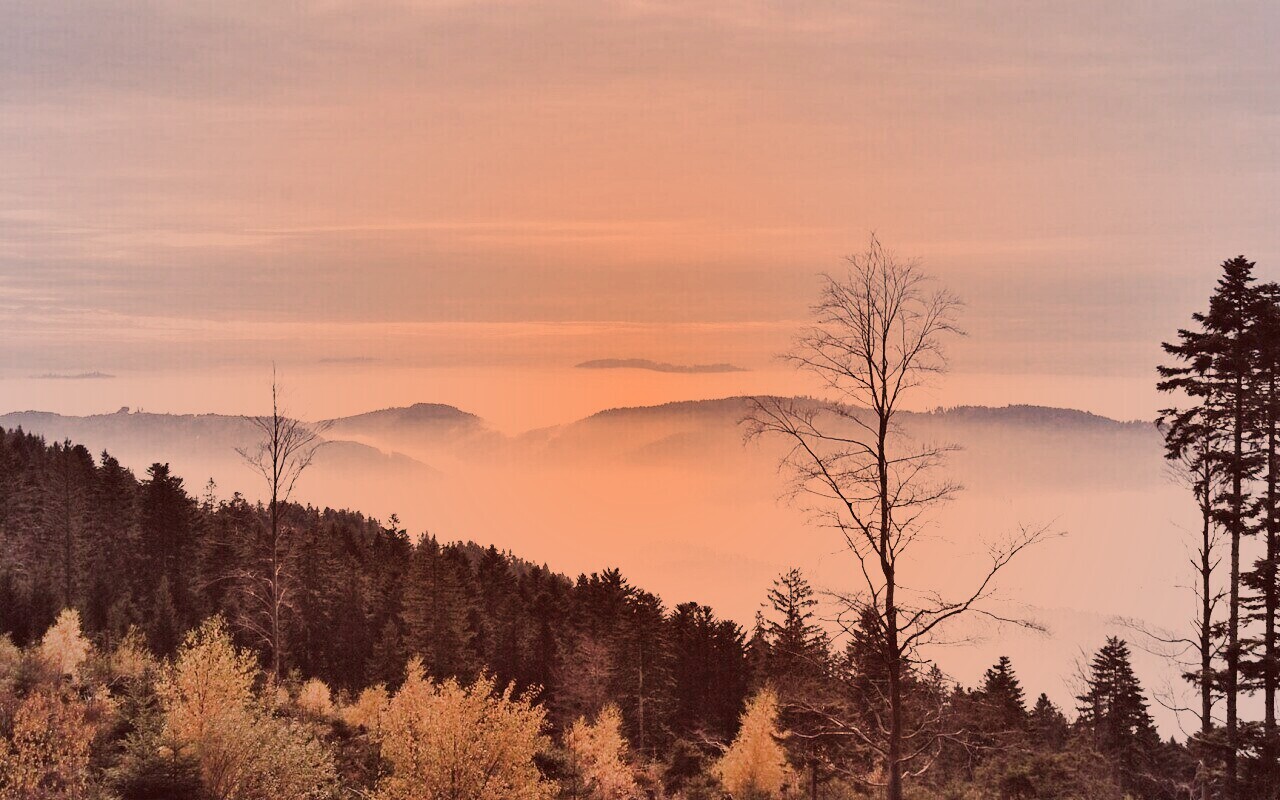 Холмы в тумане обои