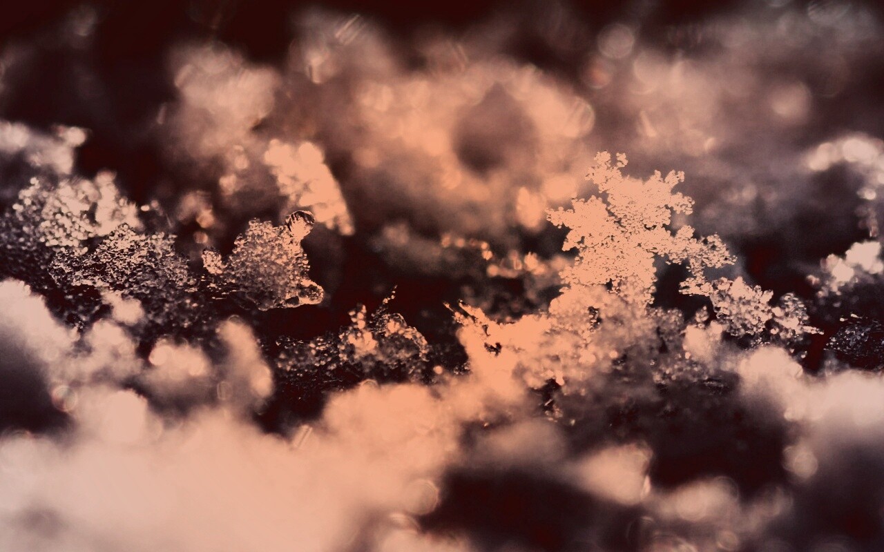 Макро фото снега обои