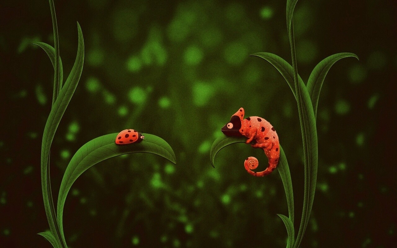 Хамелеон  замаскированный под божью коровку обои