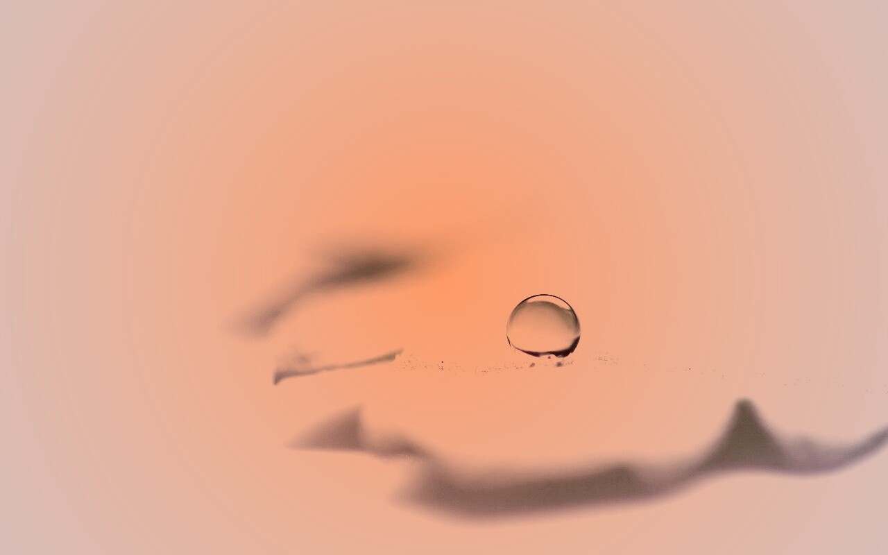 Капля на замёрзжем листе обои