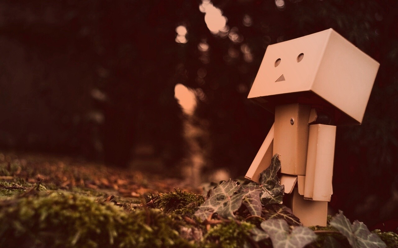 Danbo смотрит вверх обои