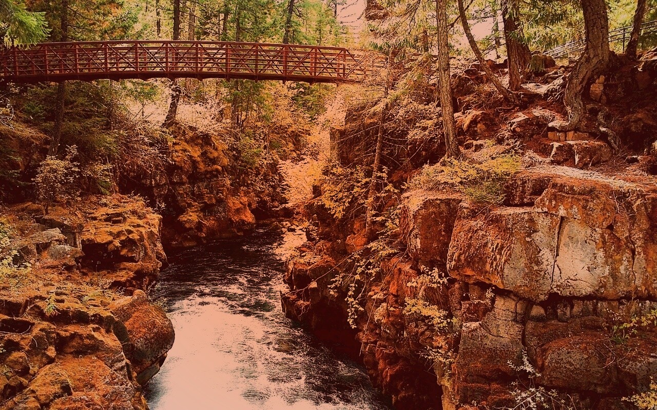 Мостик через реку в лесу обои