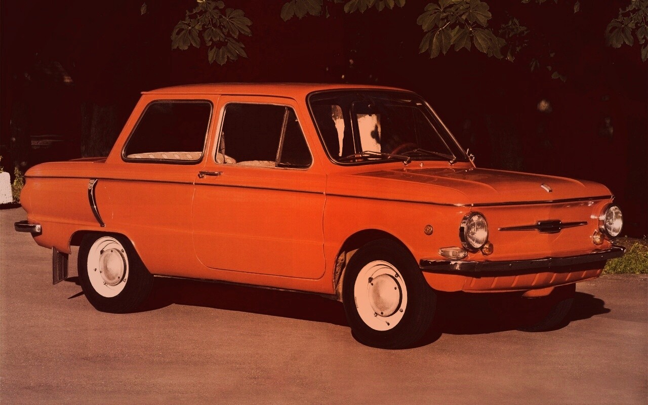 Оранжевый ушастый запорожец обои