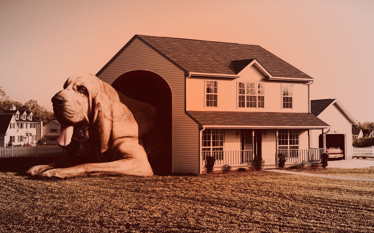 Действительно большая собака обои