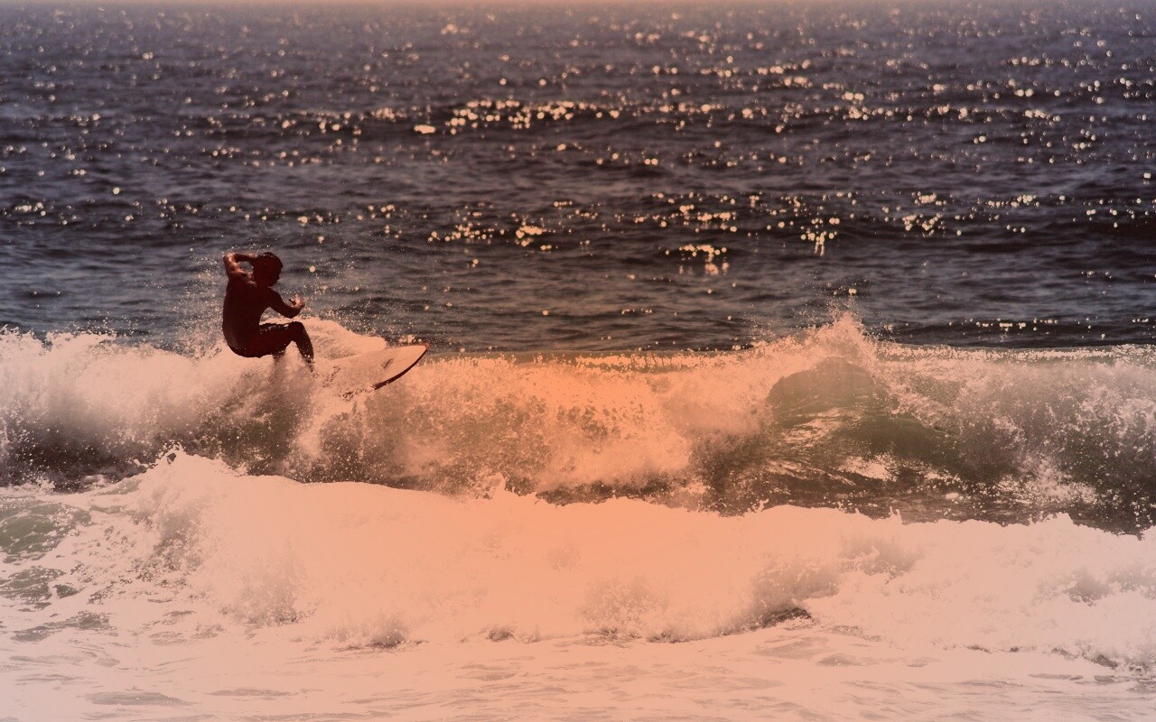 Сёрфенгист поймал волну обои