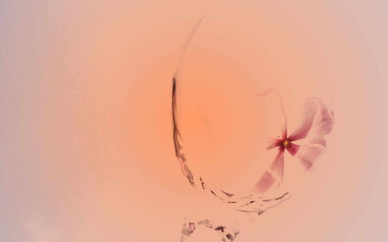 Нежный цветок в бокале на фоне голубого неба обои