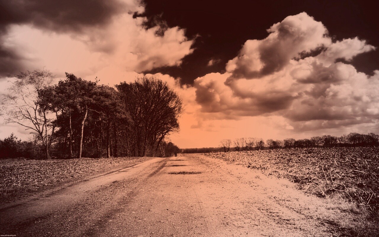 Дорога через поле обои