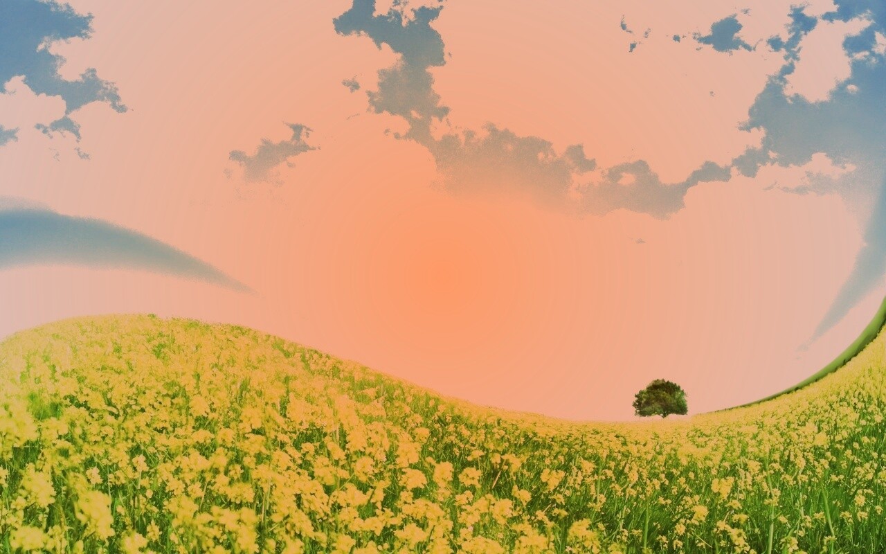 Искаженный мир обои