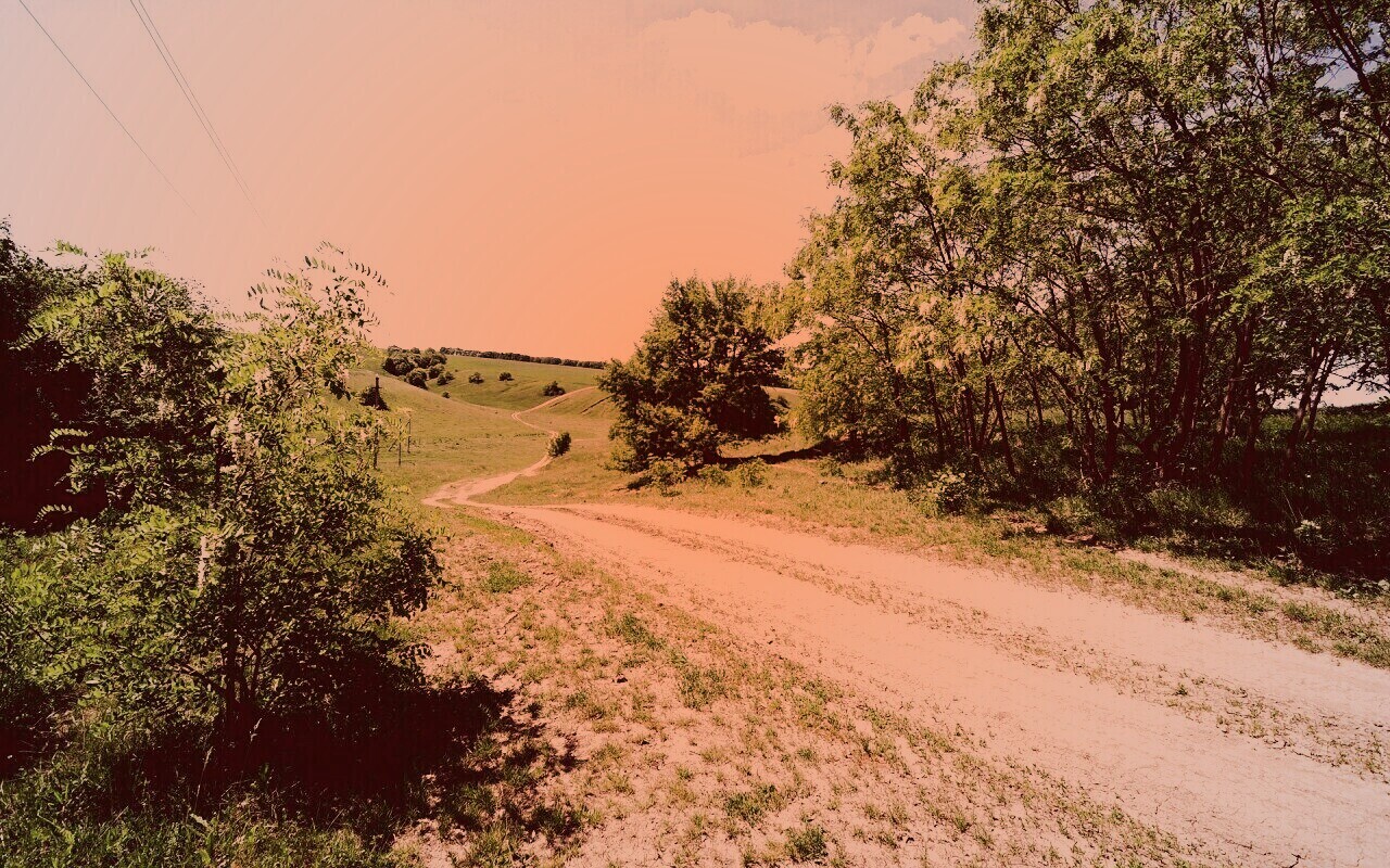 Просёлочная дорога обои