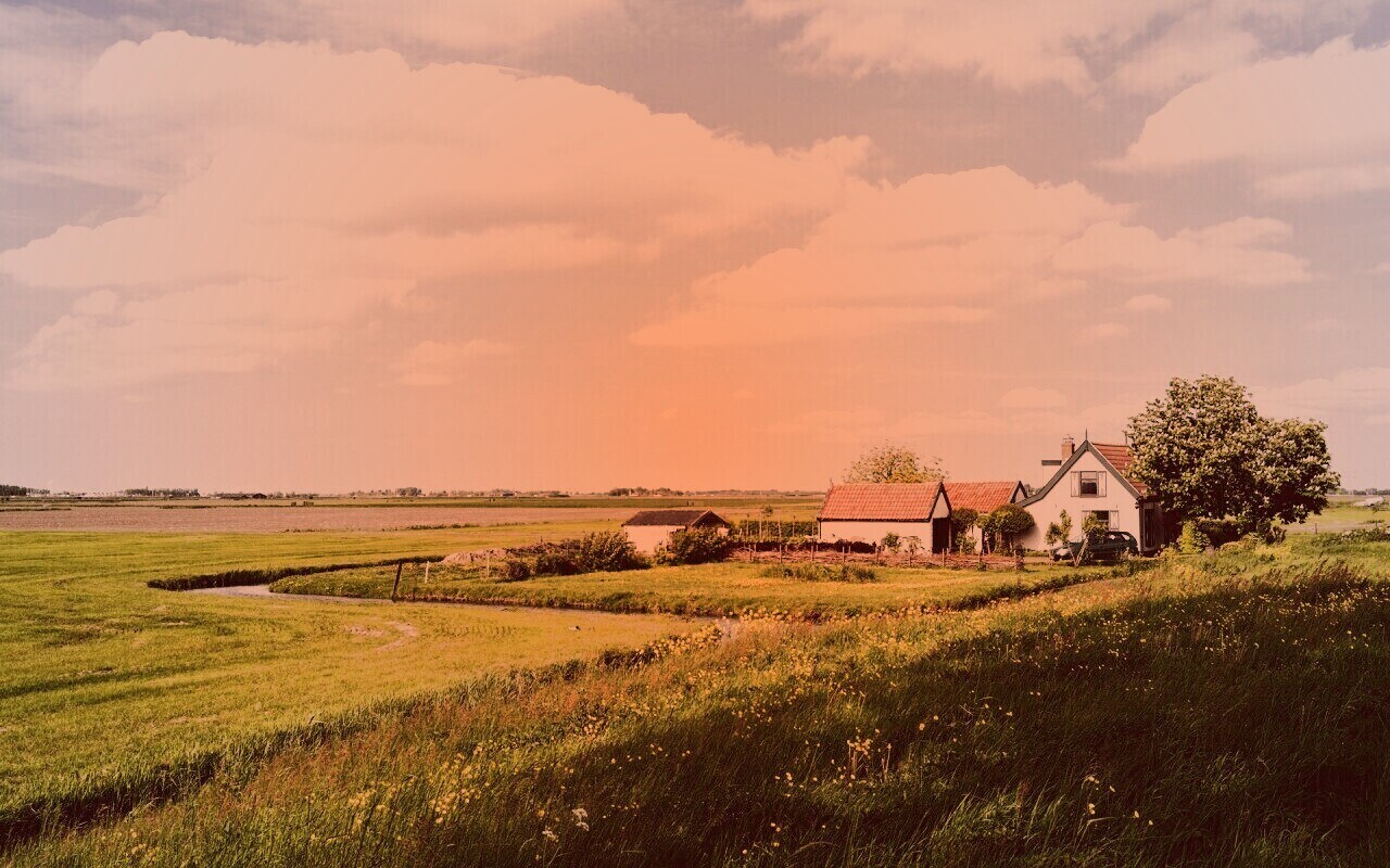 дом на лугу обои