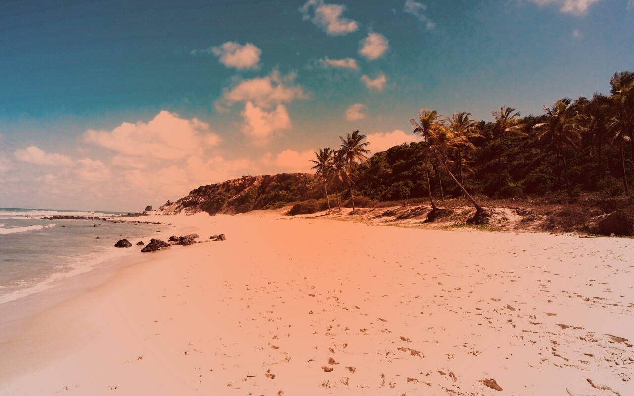 Туры в Бразилию в Лондрину обои