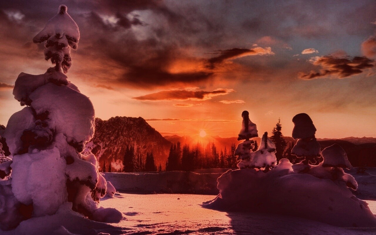 Зимнее солнце обои