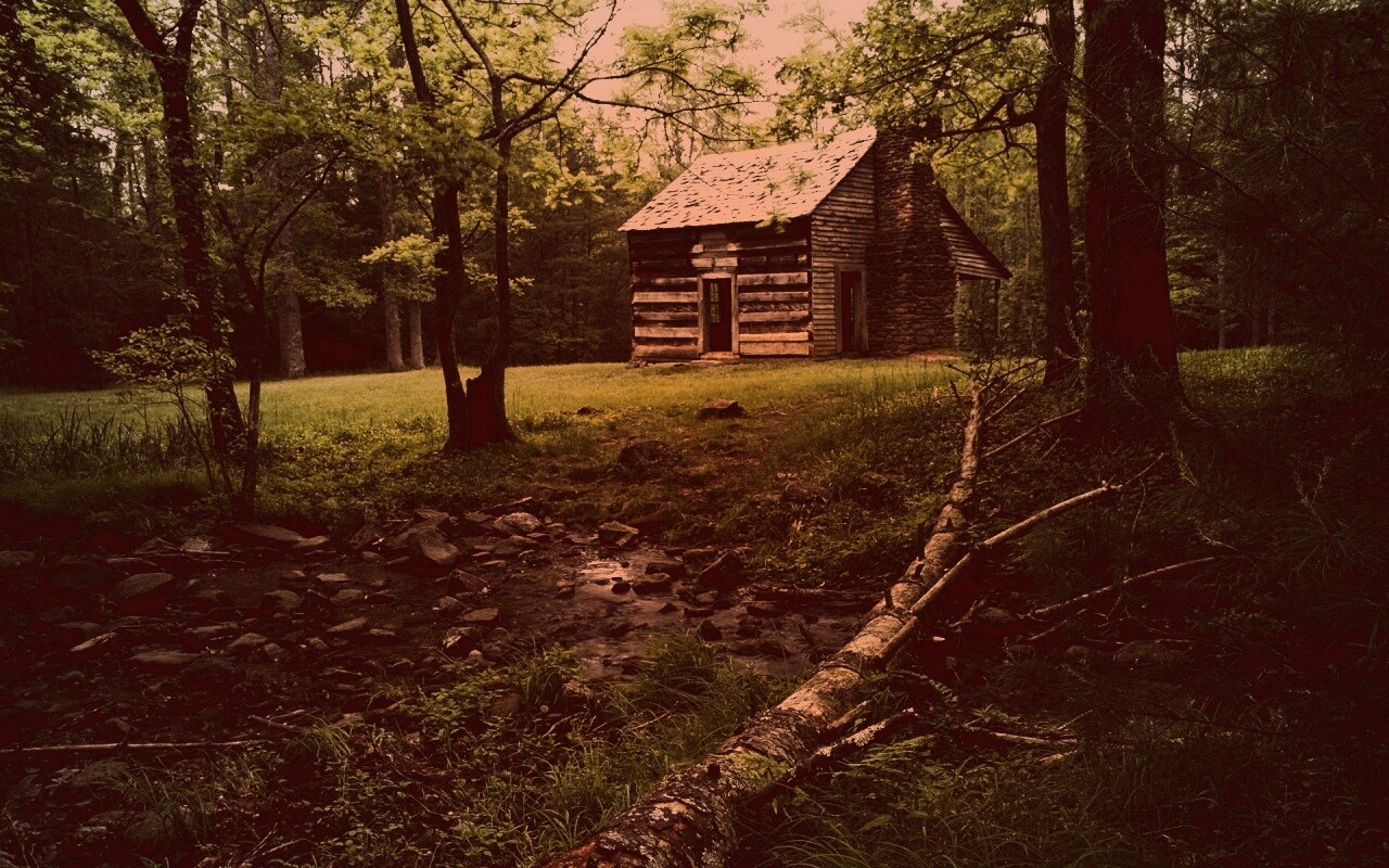 Домик в лесу обои