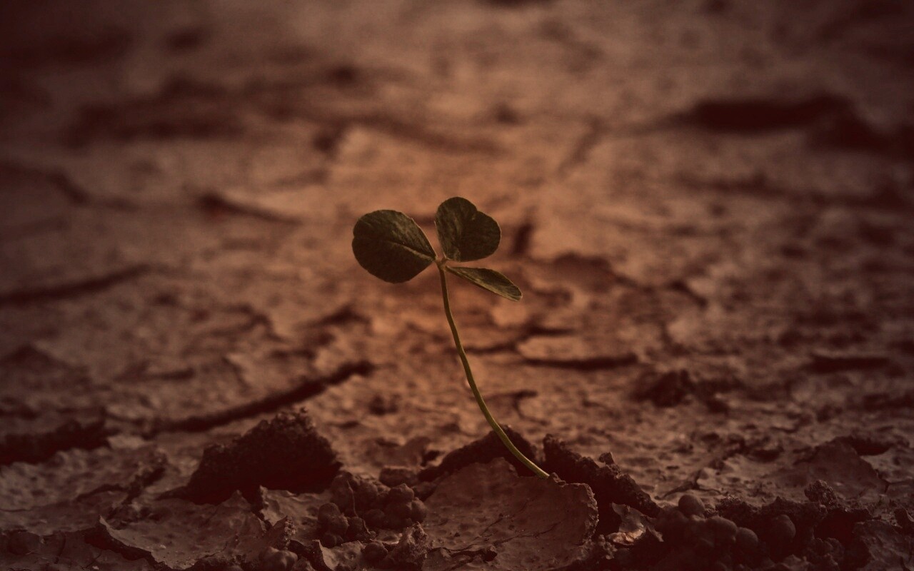 Сила природы обои