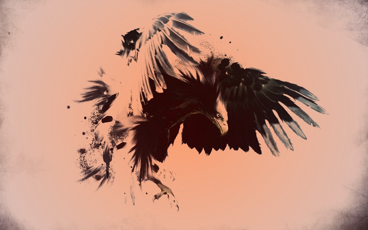 Скетч с орлом обои