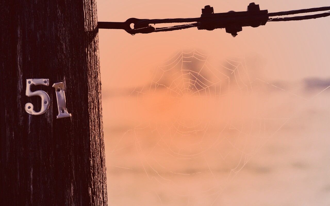 Паутина 51 обои