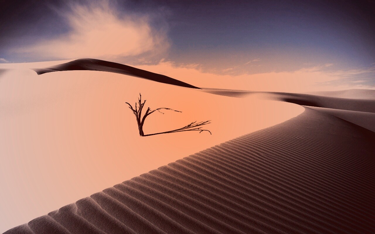 Дюны белого песка обои