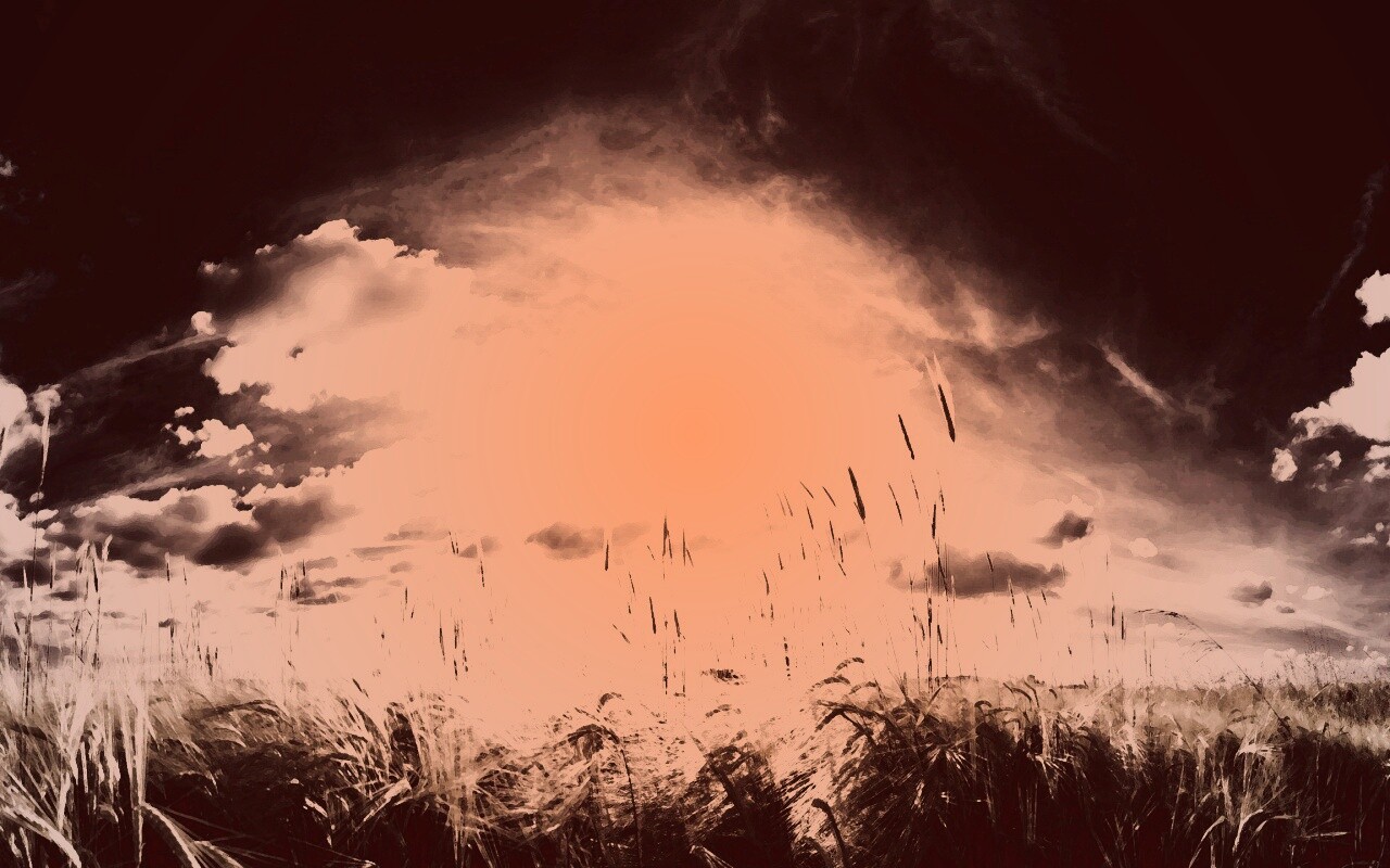 Сюрреалистичная трава обои